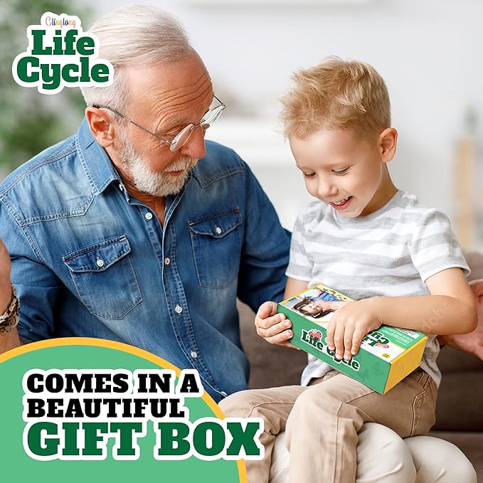 Life Cycle Science Kit Montessori Realistic Figurine, Kids Animal Matching Game with Frog, Ladybug and More Includes 24-Piece, Fun Learning Education Toys Stocking Stuffers for Children 3 4 5 6 7 8