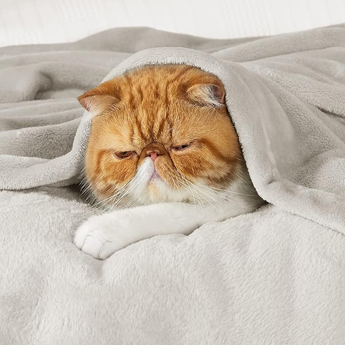 Bedsure GentleSoft Fleece Throw Blanket Linen - 300GSM Soft Lightweight Plush Cozy Blankets for Bed, Sofa, Couch, Travel, Camping, 50x60 inches