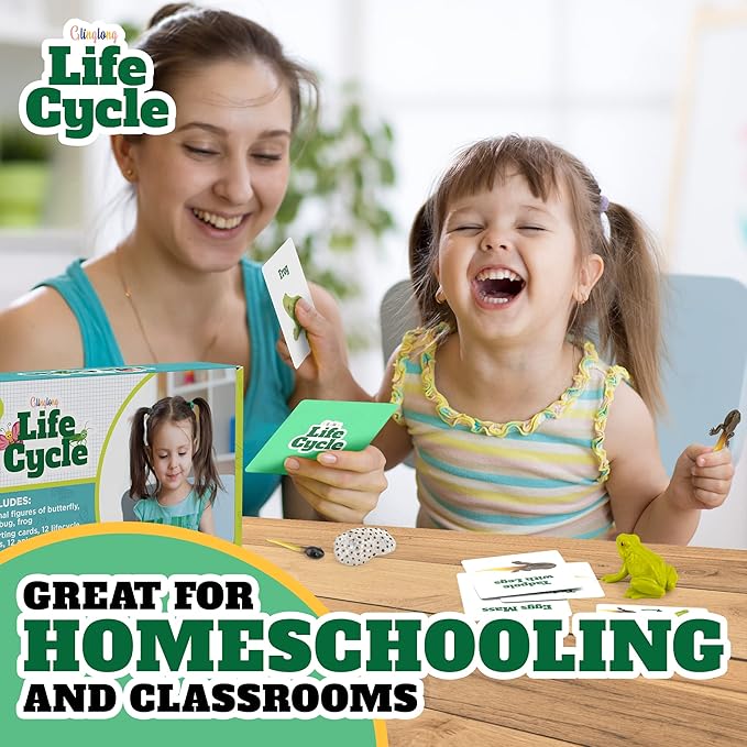 Life Cycle Science Kit Montessori Realistic Figurine, Kids Animal Matching Game with Frog, Ladybug and More Includes 12 Piece, Fun Learning Education Toys Stocking Stuffers for Children 3 4 5 6 7 8