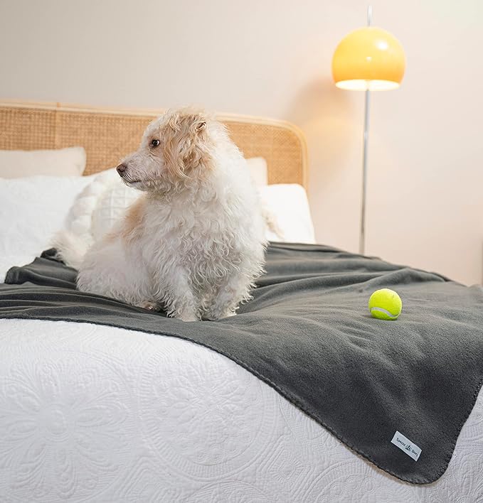 Special SG Glory Fleece Throw Blanket Set Bulk for Travel Kids Outdoor Wedding Pet (Black Grey, Pack of 6 50x60 Inches)