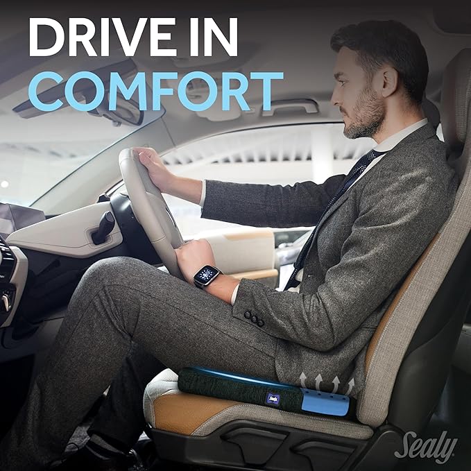 Sealy Memory Foam Seat Cushion for Car and Office Chairs – Pressure Relief Cushion for Tailbone Pain, Posture Support, and Comfort for Home Office Essentials