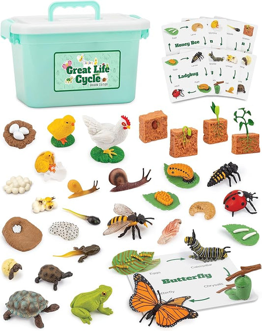 Life Cycle Science Kit Montessori Realistic Figurine, Kids Animal Matching Game with Frog, Ladybug and More Includes 32-Piece, Fun Learning Education Toys Stocking Stuffers for Children 3 4 5 6 7 8