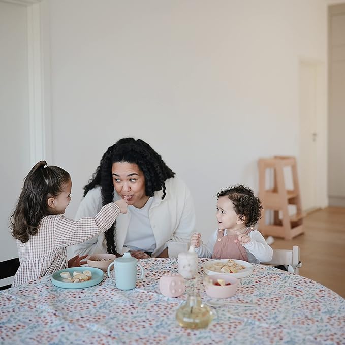 mushie Classic Silicone Suction Plate | BPA-Free Non-Slip Design (Blush)