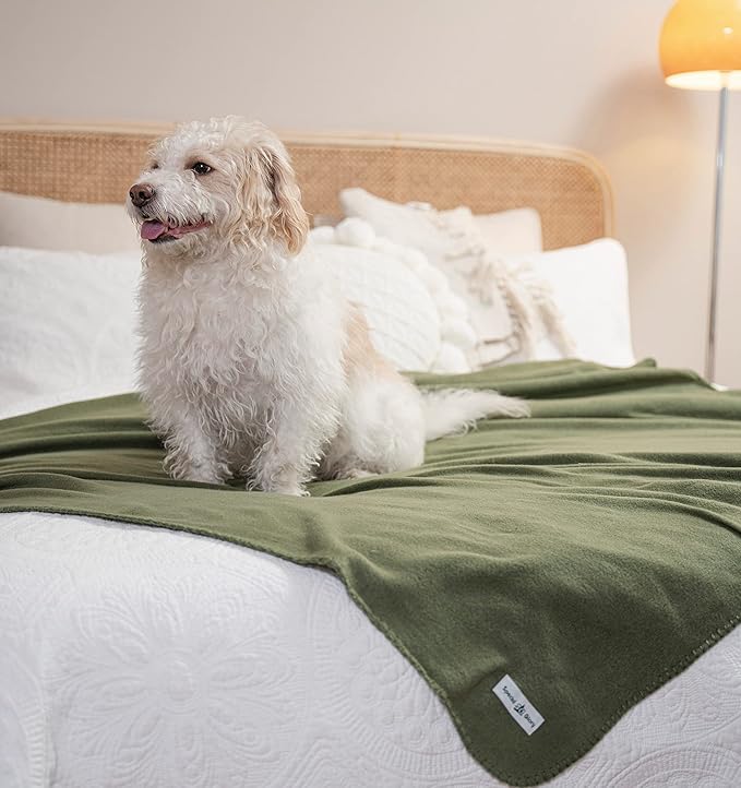 Special SG Glory Fleece Throw Blanket Set Bulk for Travel Kids Outdoor Wedding Pet (Olive Green, Pack of 6 50x60 Inches)