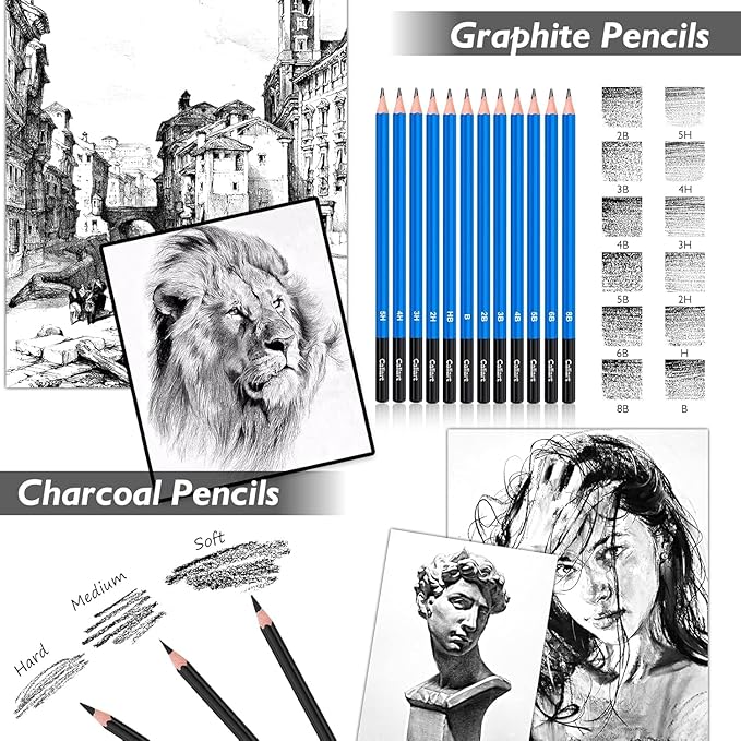 Caliart 176PCS Art Supplies Sketching Kit with 100 Sheets 3-Color Sketch Book, Graphite Colored Charcoal Watercolor & Metallic Pencils, Drawing Supplies Christmas Gifts for Artists Adults Beginners