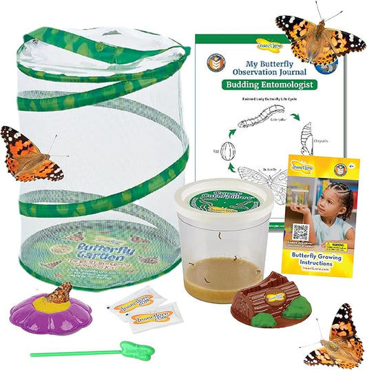 Insect Lore Butterfly Garden | Butterfly Kit with Live Caterpillars | 5 Caterpillars, Reusable Habitat, STEM Butterfly Journal & More