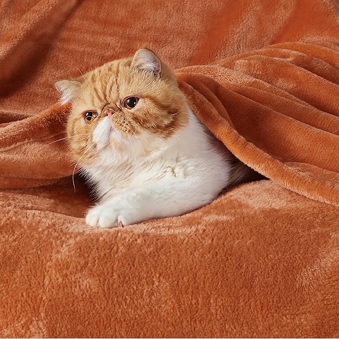 Bedsure GentleSoft Burnt Orange Fleece Throw Blanket Mango - 300GSM Soft Lightweight Plush Cozy Blankets for Bed, Sofa, Couch, Travel, Camping