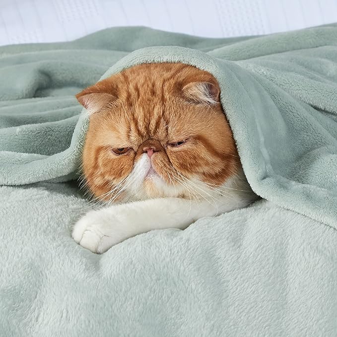 Bedsure GentleSoft Bedding Fleece Blanket for Girls and Boys - Soft Cozy Cute Small Throw Blankets for Travel, 43x55 Inches, Sage Green