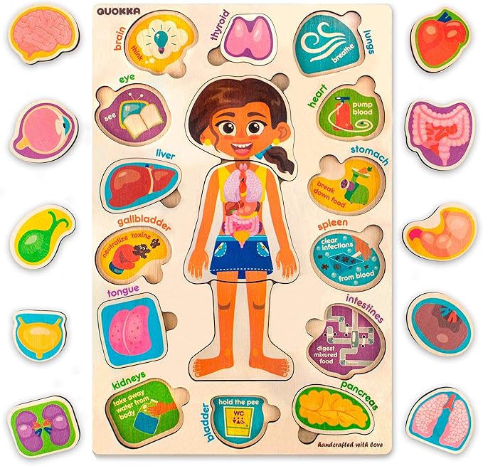 QUOKKA Wooden Puzzles for Kids – Montessori Puzzles for Toddlers 3-5 – Preschool Game Learning Human Body Parts Anatomy Skeleton – Educational Toys for Boy & Girl