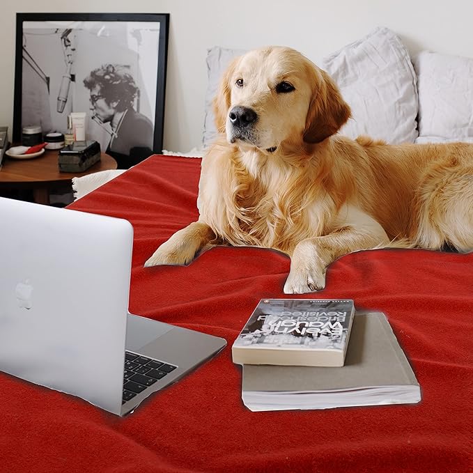 Special SG Glory Fleece Throw Blanket Set Bulk for Travel Kids Outdoor Wedding Pet (Assorted #3, Pack of 6 50x60 Inches)