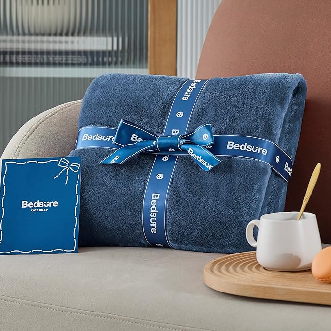 Bedsure GentleSoft Fleece Blanket Twin Size Mineral Blue - 300GSM Lightweight Plush Fuzzy Cozy Soft Warm Blanket for Bed, Sofa, Couch, Travel, Camping, 60x80 inches