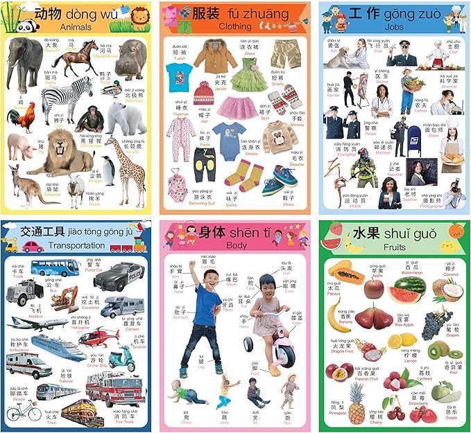 N/A/ Chinese Learning 10-Poster Set for Kids. Montessori-Inspired. Bilingual with Simplified Chinese, English, and Pinyin.