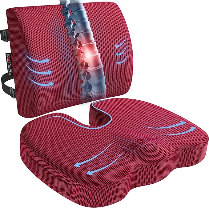 FORTEM Seat Cushion, Office Chair Cushion, Lumbar Support Pillow for Office Chair, Memory Foam Sciatica Coccyx Tailbone Pressure Pain Relief, Car Sitting Pad, Washable Non Slip