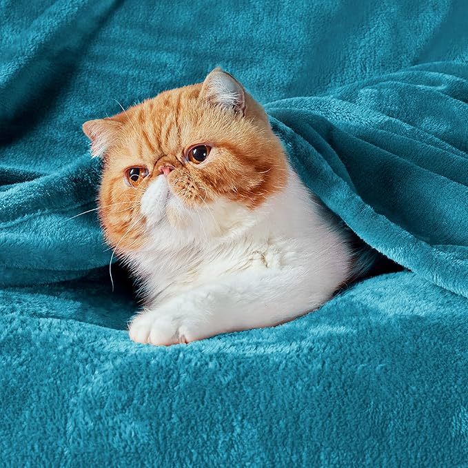 Bedsure GentleSoft Fleece Blanket Twin Size Teal - 300GSM Lightweight Plush Fuzzy Cozy Soft Warm Blanket for Bed, Sofa, Couch, Travel, Camping, 60x80 inches