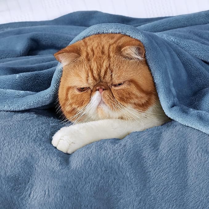 Bedsure GentleSoft Fleece Blanket Twin Size Washed Blue - 300GSM Lightweight Plush Fuzzy Cozy Soft Warm Blanket for Bed, Sofa, Couch, Travel, Camping, 60x80 inches