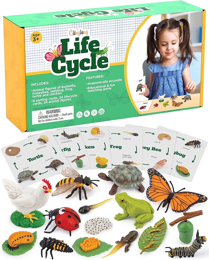 Life Cycle Science Kit Montessori Realistic Figurine, Kids Animal Matching Game with Frog, Ladybug and More Includes 24-Piece, Fun Learning Education Toys Stocking Stuffers for Children 3 4 5 6 7 8