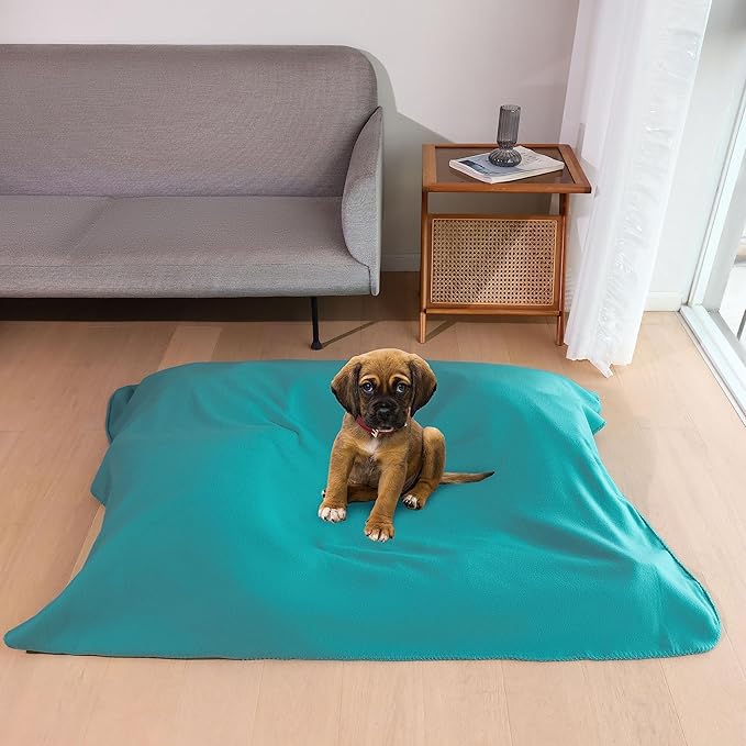 CAI TENG Fleece Throw Blanket Blankets Bulk for Couch Lightweight Warm Soft Cozy Kids Blanket Bulk 50 x 60 inch Fleece Fabric Yard Solid for Bed Sofa Travel Gifts Outdoor Blue 6 Pack