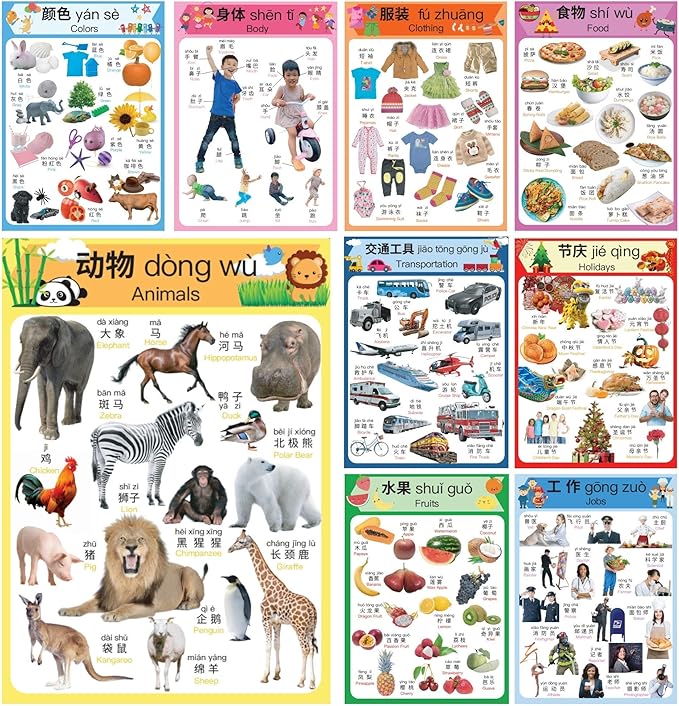 N/A/ Chinese Learning 10-Poster Set for Kids. Montessori-Inspired. Bilingual with Simplified Chinese, English, and Pinyin.