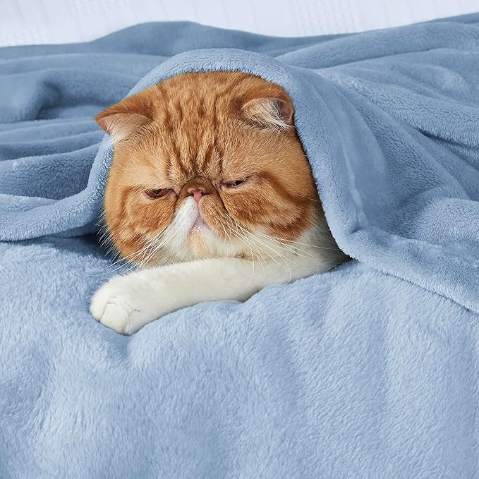 Bedsure GentleSoft Twin XL Fleece Blanket Dorm Bedding - Lightweight Soft Cozy Blankets for Bed, Sofa, Couch, Travel, Camping, Light Blue, 66"x90"