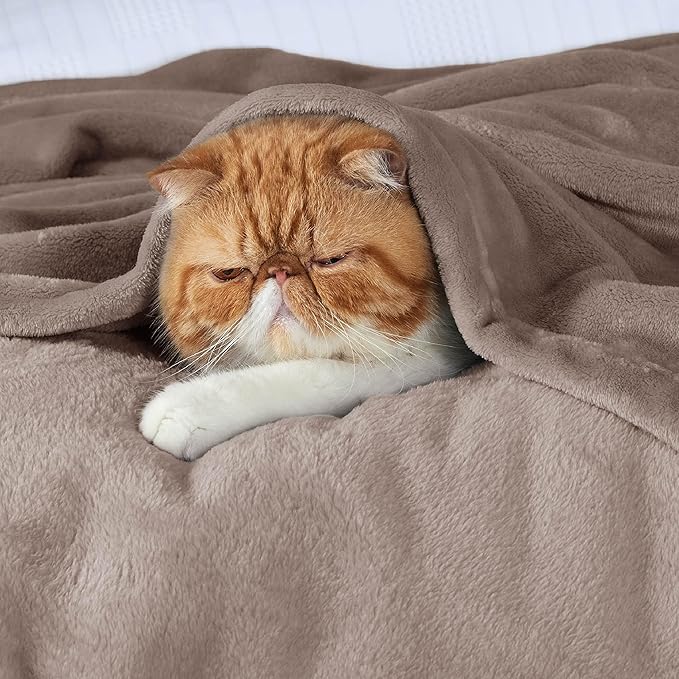 Bedsure GentleSoft Fleece Blankets Twin Size Mocha Brown - 300GSM Lightweight Plush Fuzzy Cozy Soft Blanket for Bed, Sofa, Couch, Travel, Camping, 60x80 inches